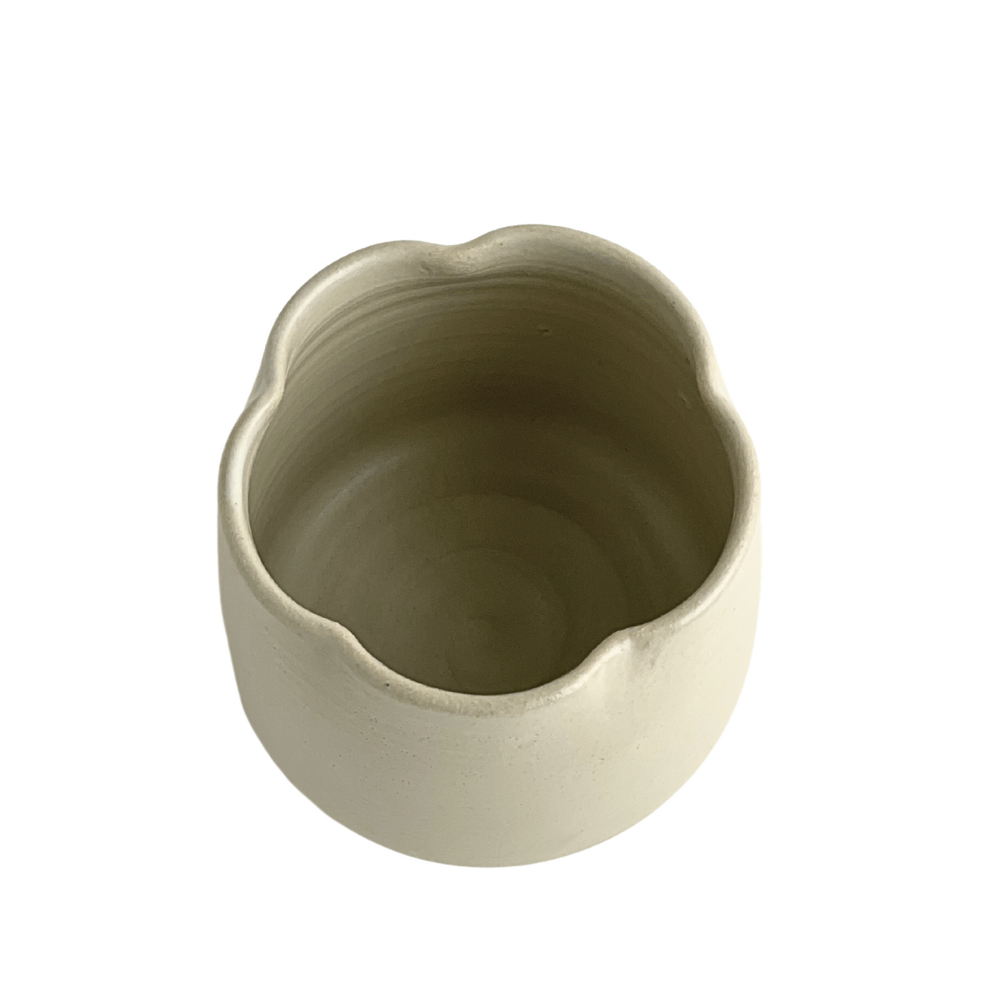 CUP // FLOWER