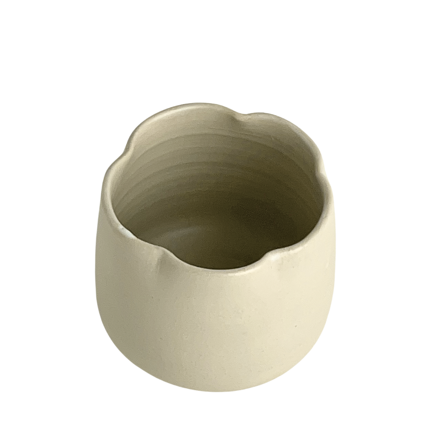 CUP // FLOWER