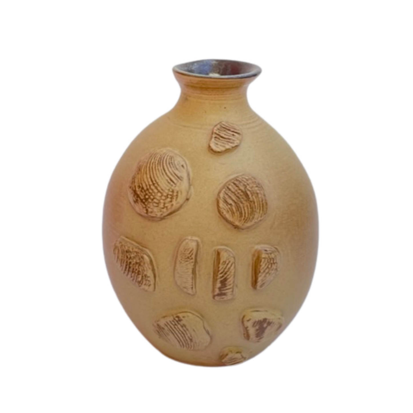 VASE // AGRA SHELLS