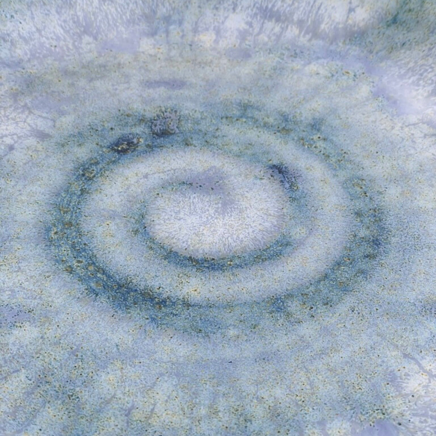 PLATE // BLUE SPIRAL