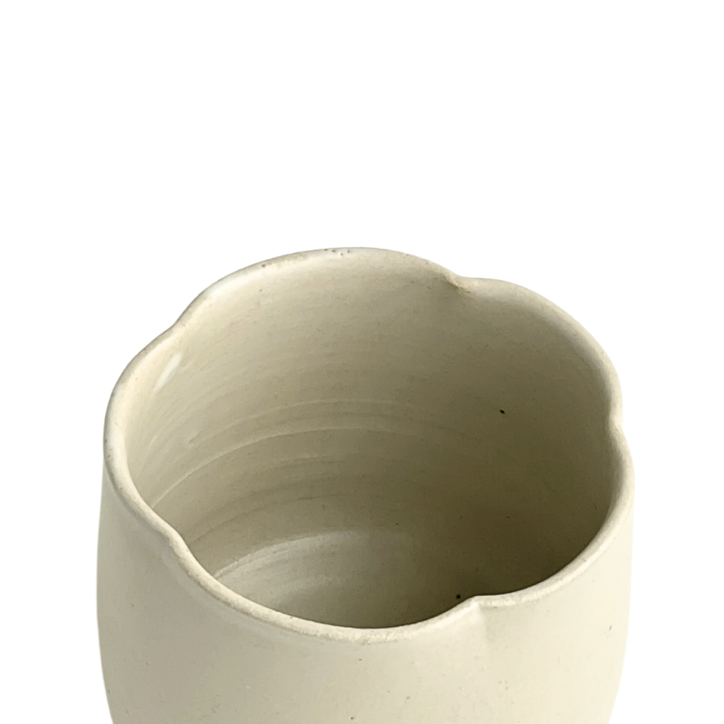 CUP // FLOWER