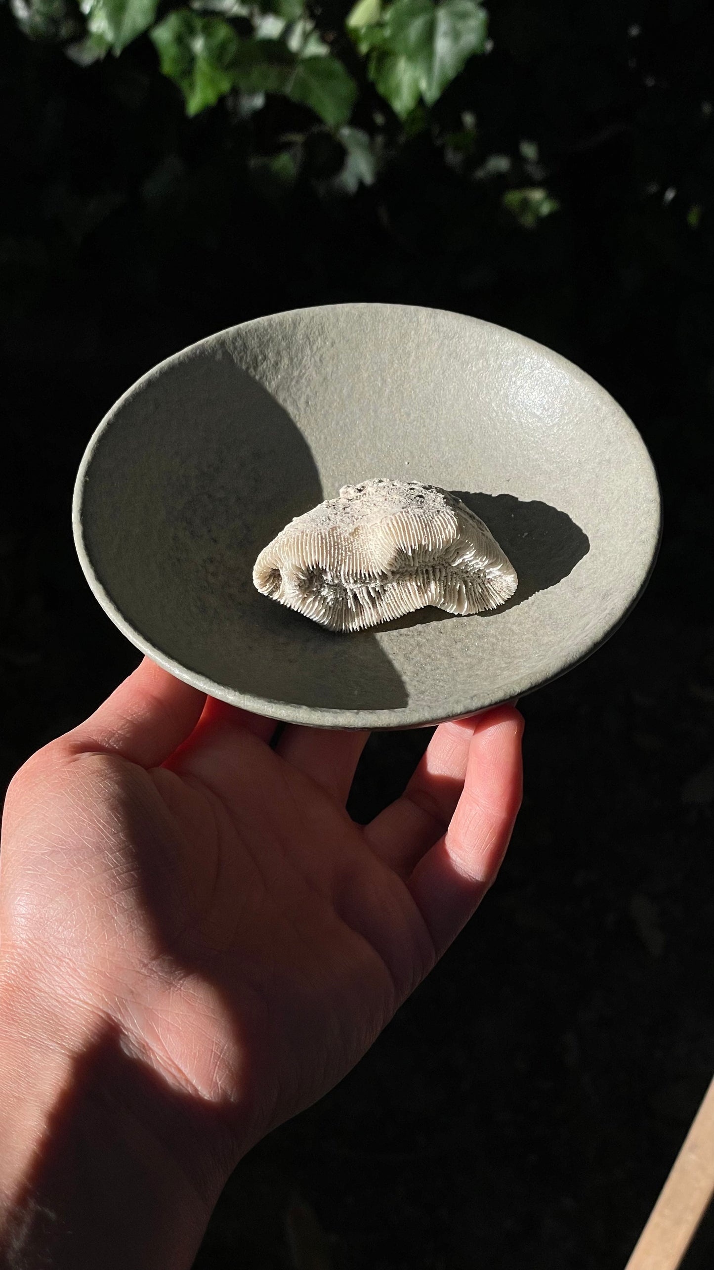 BOWL // SAGE STONE