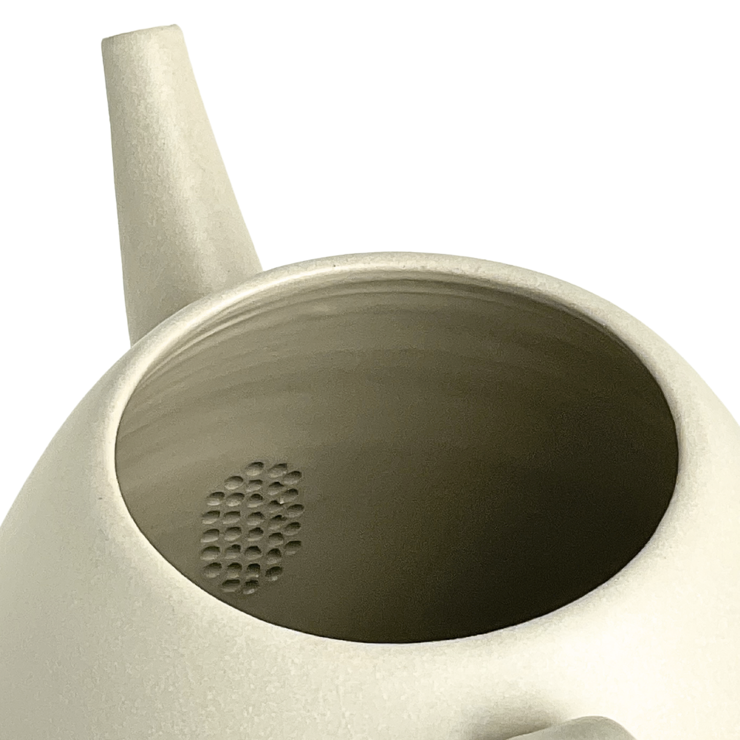 TEAPOT // QUEEN SCALLOP