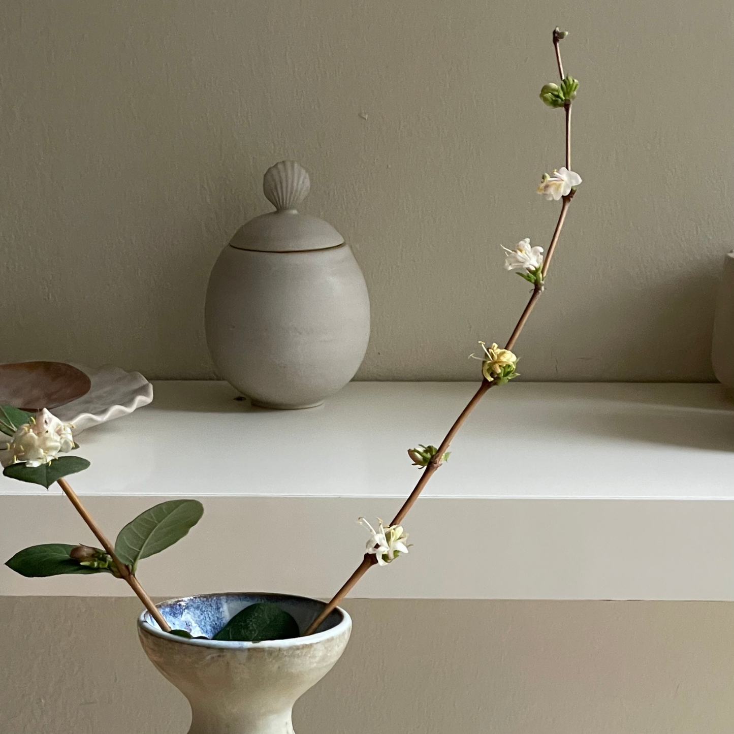 LIDDED JAR // QUEEN SCALLOP SATIN WHITE