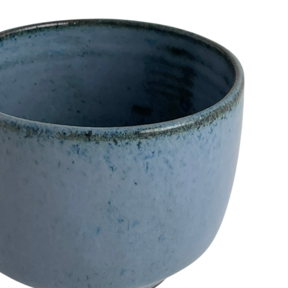 MUG // WILD BLUE YONDER