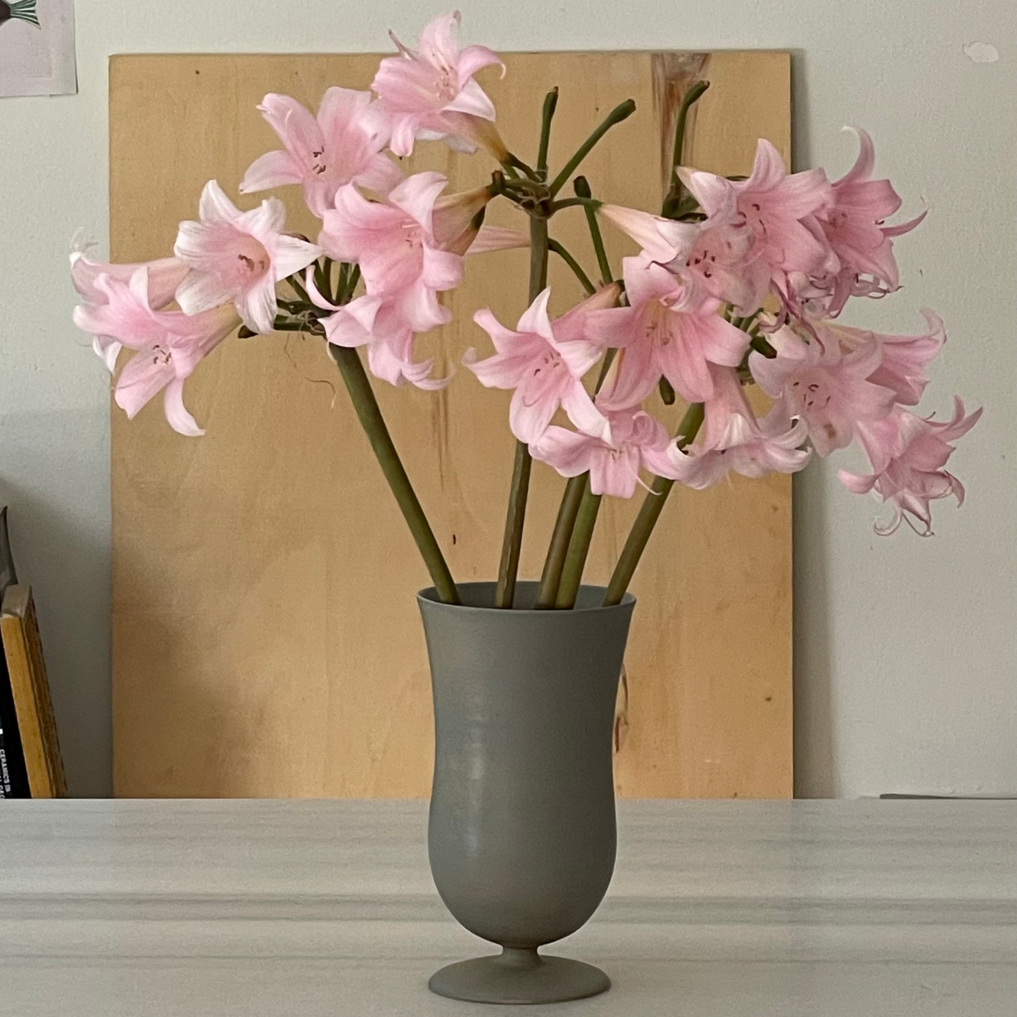 VASE // JUNGLE MIST