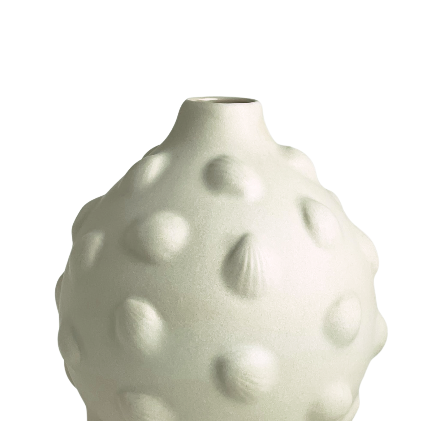 VASE // MATTE SATIN WHITE WITH SHELLS