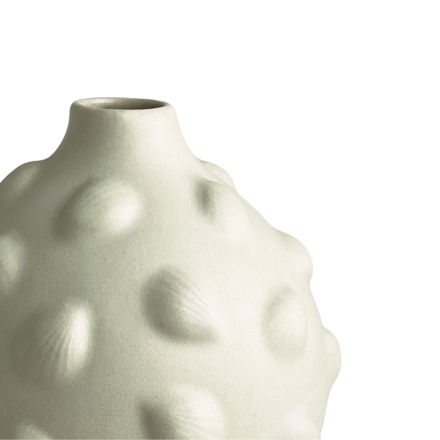 VASE // MATTE SATIN WHITE WITH SHELLS