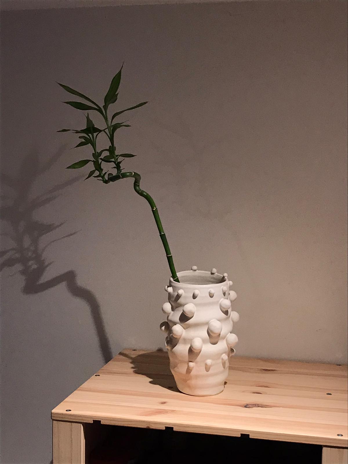 VASE // POMPON