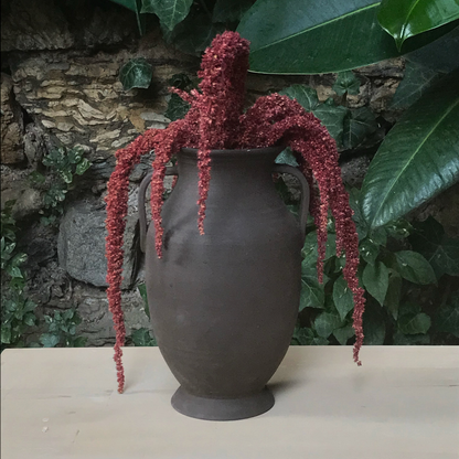 VASE // DARK AMPHORA