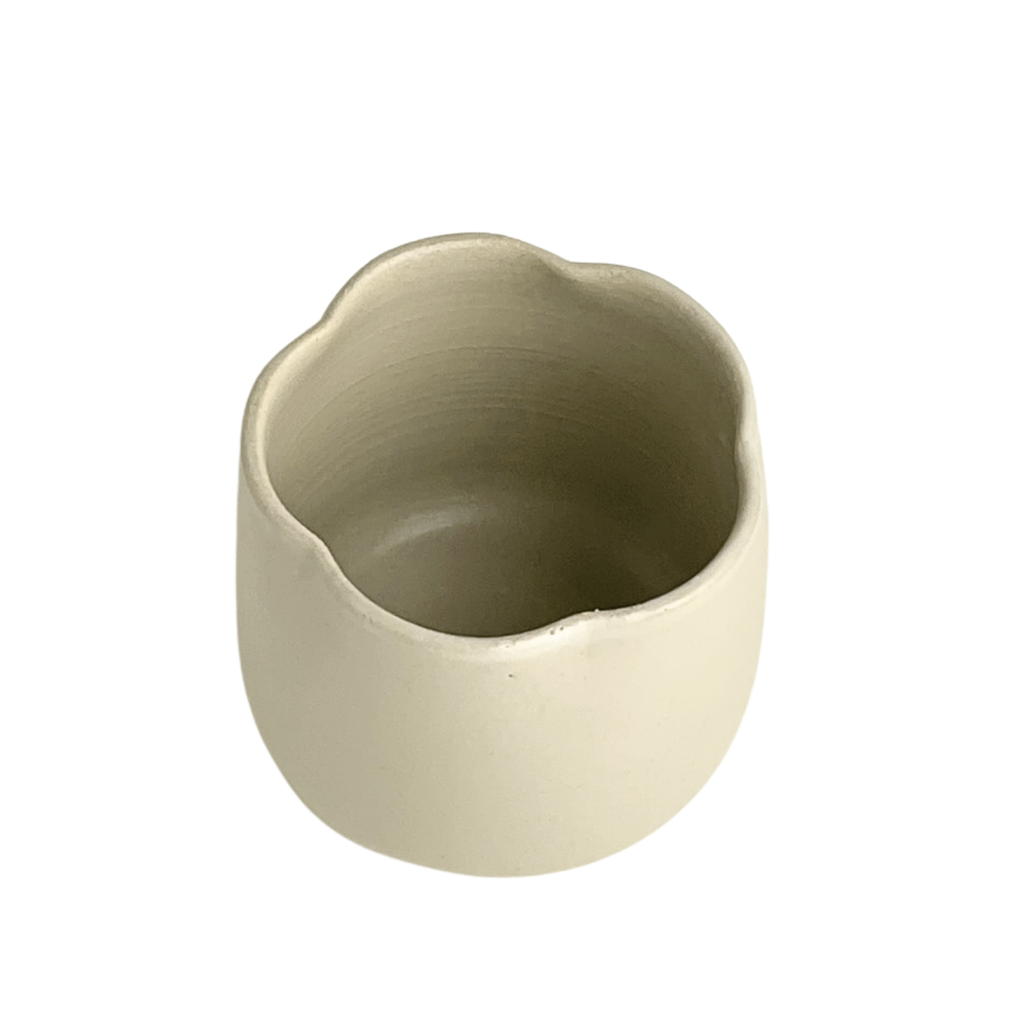 CUP // FLOWER