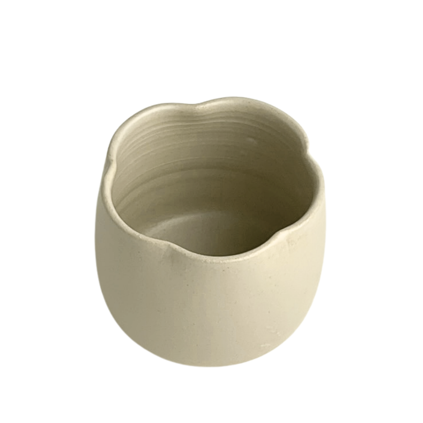 CUP // FLOWER