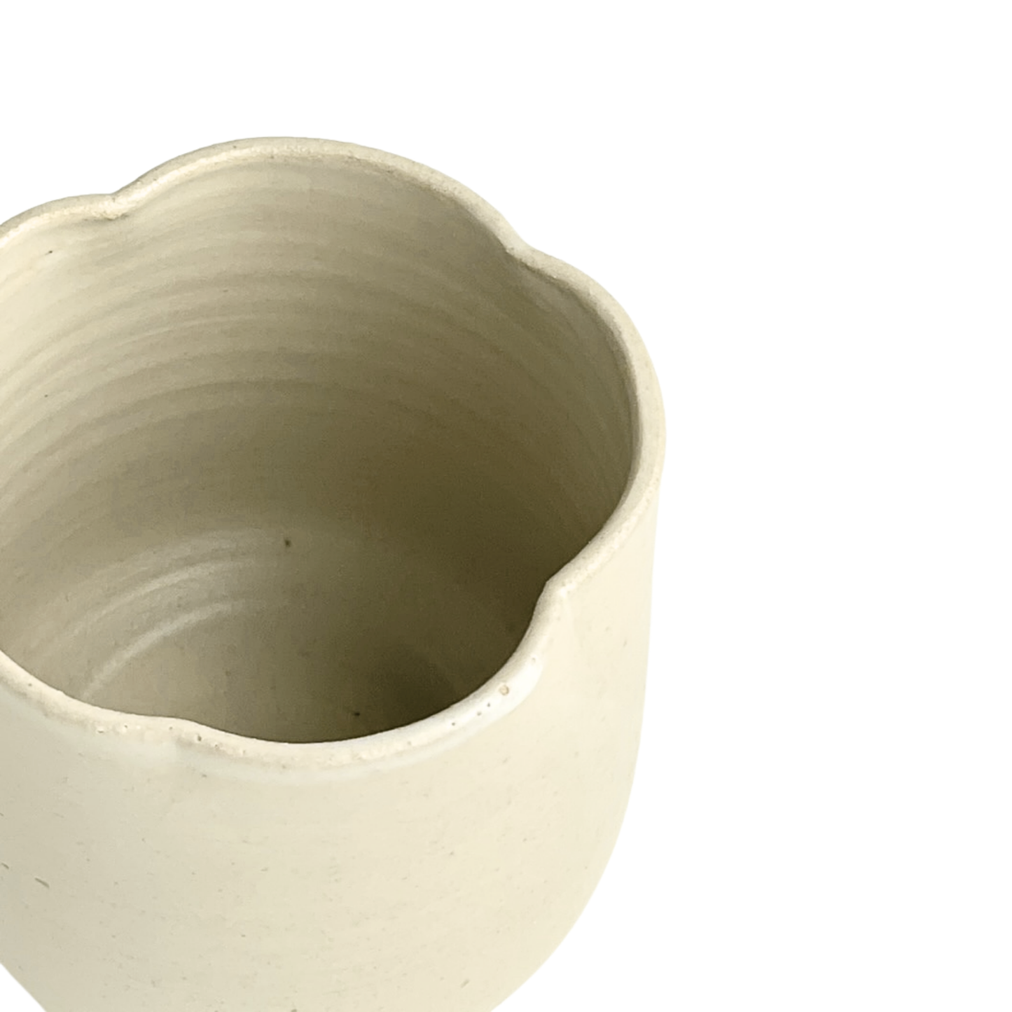 CUP // FLOWER