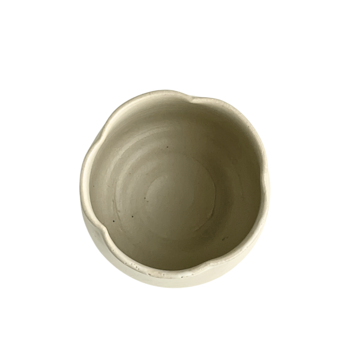 CUP // FLOWER